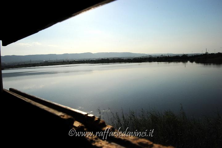 11.5.2011 Saline di Priolo con Antonella (298).jpg